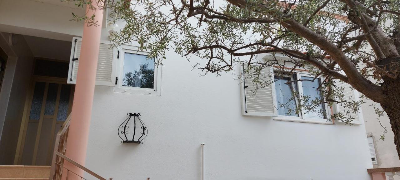 Olive Tree Apartment Zadar Exterior photo